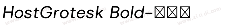 HostGrotesk Bold字体转换